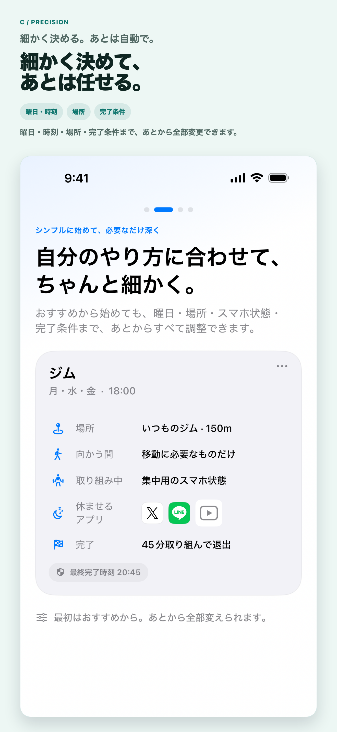 日本語 Precision Customize